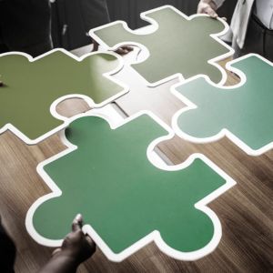 Diversify-WEB