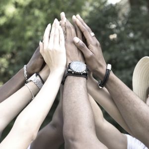 Team building experience WEB