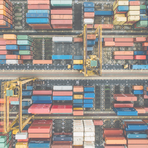 VAT on the importation of goods 1024 (Demo)